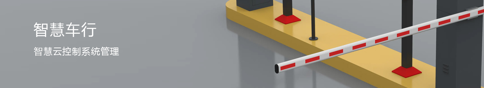 ŵ������