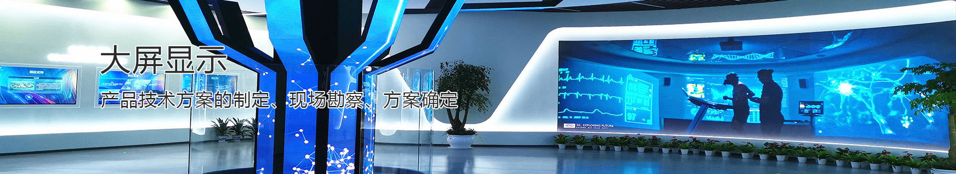 ŵ������